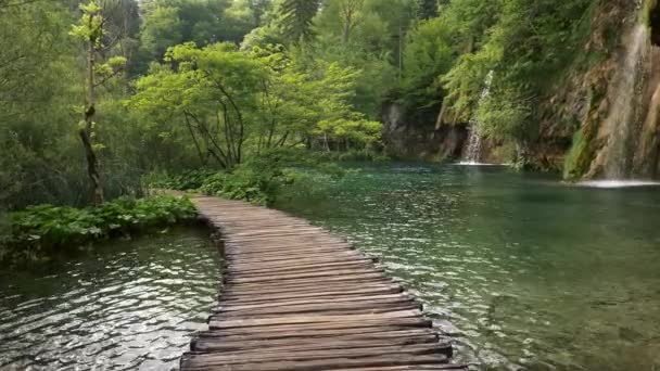 Camera moving along the boardwalk in a marvellous park with lakes. Waterfall flowing into lake among rich green flora. 4K — Stock Video
