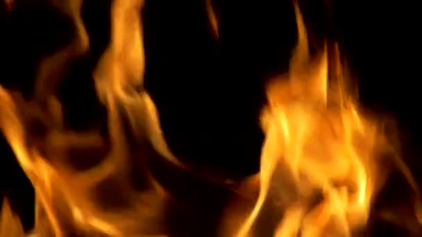 Tűz láng fekete háttérrel. Narancssárga és vörös lángok — Stock videók
