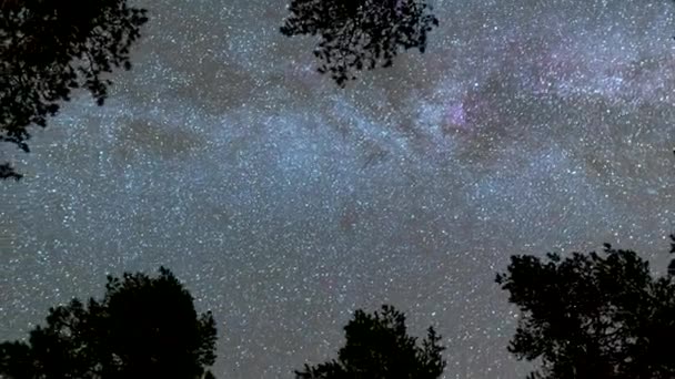 Blick von unten auf die Milchstraße und Sterne, die nachts über die Bäume ziehen. Zeitraffer — Stockvideo