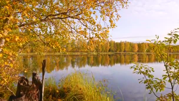 Ruska finlandesa de otoño. Grúa de paisaje con árboles de otoño de oro y lago — Vídeos de Stock