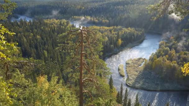 Panning shot del paesaggio autunnale mattutino nel parco nazionale di Oulanka, Finlandia — Video Stock