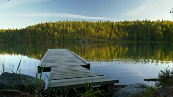 Pier in Repovesi national park, Kouvola, Фінляндія. Steadicam знімок пірсу і озера з відзеркаленнями на заході сонця. 4k, Uhd — стокове відео