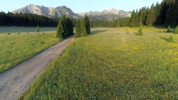 Voando rapidamente sobre o prado, grama verde e floresta perene no Parque Nacional Durmitor, Montenegro, durante o pôr do sol. Montanhas no fundo. Tiro aéreo, 4K — Vídeo de Stock