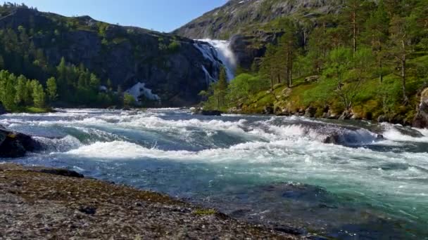 Naturaleza de Noruega Central. Río de montaña que fluye vigorosamente causando salpicaduras blancas. Bosque siempreverde creciendo en ambas orillas. Cascada que fluye por la roca en el fondo. 4K — Vídeo de stock