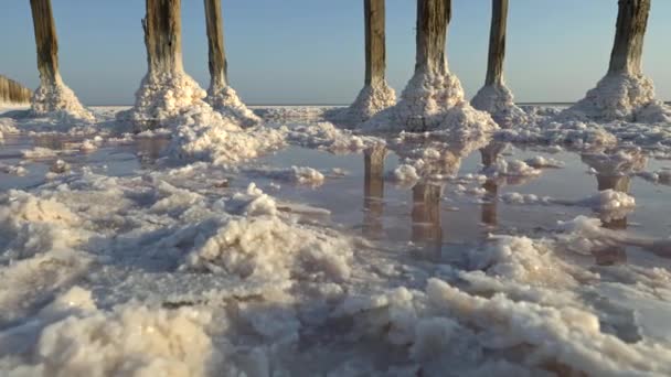 Steadicam chupito de lago de sal con sal blanca y agua rosada — Vídeos de Stock