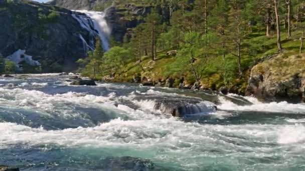 Mellersta Norges natur. Frisk bergsflod flyter snabbt. Vattenfall i bakgrunden. Uhd — Stockvideo