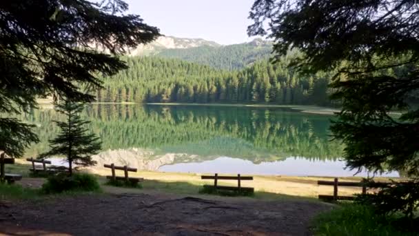 Black Lake in Durmitor National Park, Montenegro. Reflecties van het dennenbos zijn op het meer. Het is een gletsjermeer op de berg Durmitor, een deel van de Dinarische Alpen. — Stockvideo