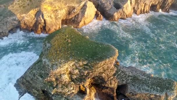 Vliegen over platte rotsen aan de kust van de Algarve, Portugal. Talloze meeuwen vliegen rond de rots. Schuimige turquoise oceaan schittert met goud bij zonsondergang. Luchtfoto, Uhd — Stockvideo