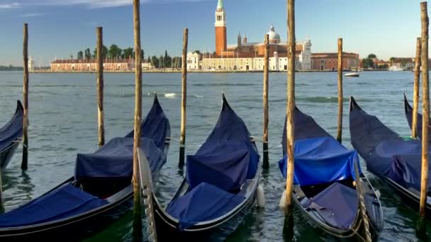 Venedig, Italien. Andockgondeln mit blauen Leinwänden schwanken in den Wellen. Im Hintergrund ist die Markusbasilika zu sehen. uhd — Stockvideo