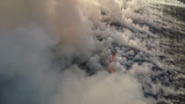 Aerial view of big smoke clouds and fire on the field. Flying over wildfire and plumes of smoke. Natural disaster due to extreme heat and climate change — Stock Video