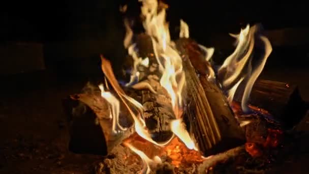 Madera ardiendo en el fuego de la hoguera. Llamas amarillas y azules en movimiento. Disparo en cámara lenta — Vídeo de stock