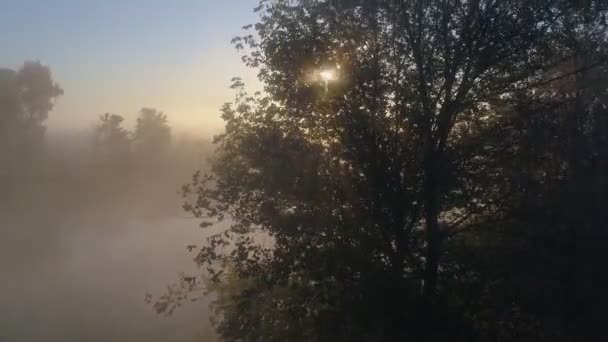 Mglisty krajobraz przyrody z łąką, rzeką i drzewami. Słońce dziwnie przebija się przez gałęzie drzew we mgle. Strzał z drona lotniczego — Wideo stockowe