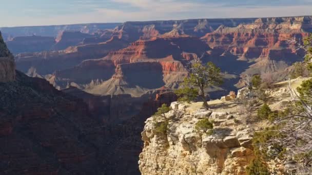 Steadicam felvétel a Grand Canyon Nemzeti Parkból. Magányos fa a szikla felett a Grand Canyonban, USA-ban. UHD, 4K — Stock videók