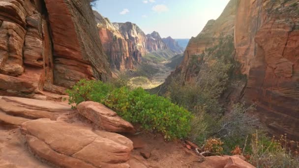 Camera moves over cliff overlooking the canyon. Zion National Park, Utah, USA — Stock Video