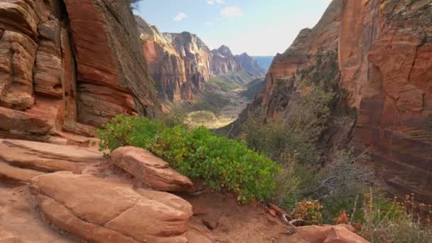 Rocas rojas en el Parque Nacional Zion, Utah, EE.UU. Steadicam tiro, 4K — Vídeo de stock