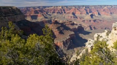 Arizona, ABD 'deki Grand Canyon Ulusal Parkı' nda her daim yeşil olan ağaçların üzerinde yükseliyor. UHD
