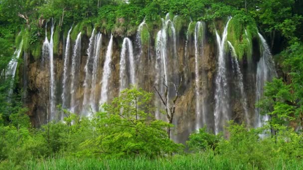 Parc national des lacs de Plitvice, Croatie. Eau dans la cascade coulant de la roche dans le lac. Tous entourés de verts riches. UHD — Video