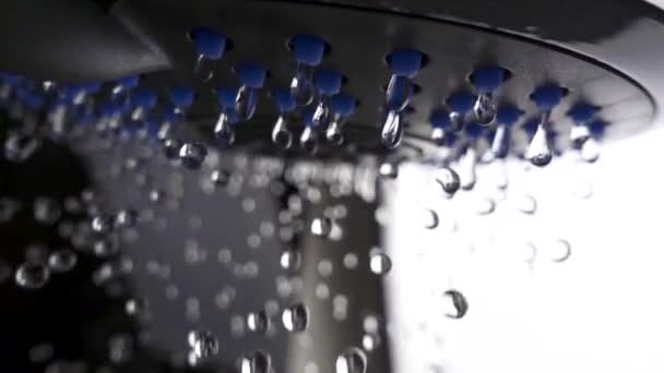 Le gocce d'acqua scorrono lentamente dal soffione della doccia. Primo piano al rallentatore — Video Stock