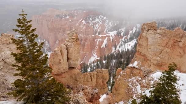 Parque Nacional Bryce Canyon, EE.UU. durante el clima nevado. Cámara moviéndose hacia los lados. Steadicam tiro, UHD — Vídeo de stock