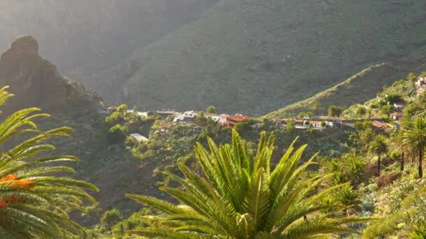 Τενερίφη, Κανάρια, Ισπανία. Φαράγγι και Masca χωριό περιβάλλεται από πράσινα τροπικά φυτά και φοίνικες. Πανοραμική λήψη, UHD — Αρχείο Βίντεο