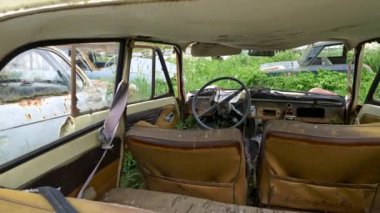 Ormandaki eski paslı arabalar. Kamera arabanın içinden dışarıya doğru geri hareket ediyor. Sabit çekim, 4K