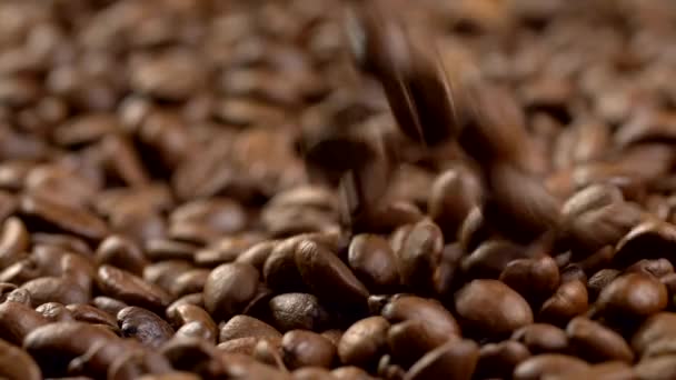 Brown fried coffee beans are poured from above to a pile. Slow motion shot — Stock Video