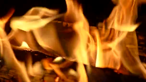 Τα κούτσουρα καίγονται σε μια φωτιά. Κίτρινο φλόγες τη νύχτα. Κοντινό πλάνο αργής κίνησης — Αρχείο Βίντεο