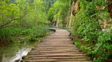 Hırvatistan 'ın Plitvice Lakes Ulusal Parkı' ndaki göller, şelaleler ve zengin yeşil bitki örtüleri arasında tahta kaldırımda yürüyorum. Sabit çekim, 4K