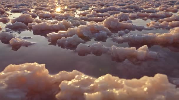 塩辛い湖の日没。湖の水の塩結晶の塊。太陽とそのビームの水に反映されます。Steadicamショット, UHD — ストック動画