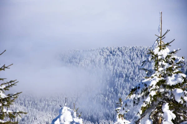 Misty vista de invierno de montaña — Foto de Stock