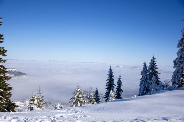 冬季多雾山景 — 图库照片