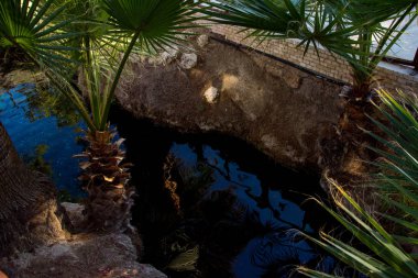 küçük termal havuz ve avuç içi Pamukkale