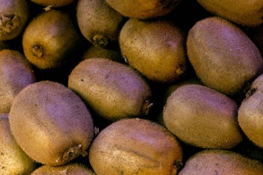 portre çekimi kivi meyve