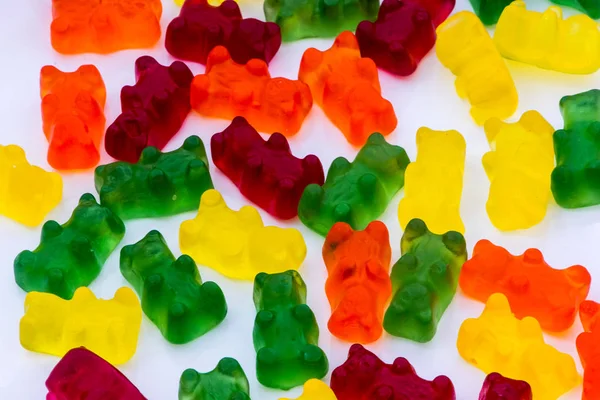 Sakızlı ayılar portre çekimleri 