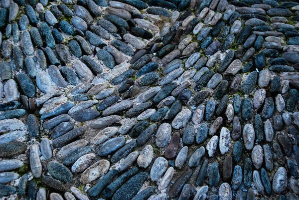 Path of the rocks