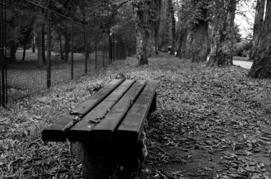 Parktaki boş bank 