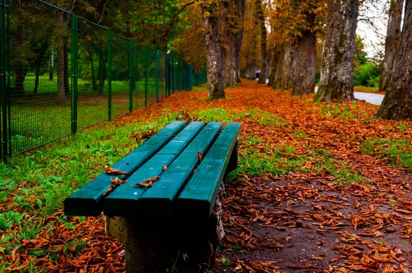 Empty bench in the park — Stock Photo, Image