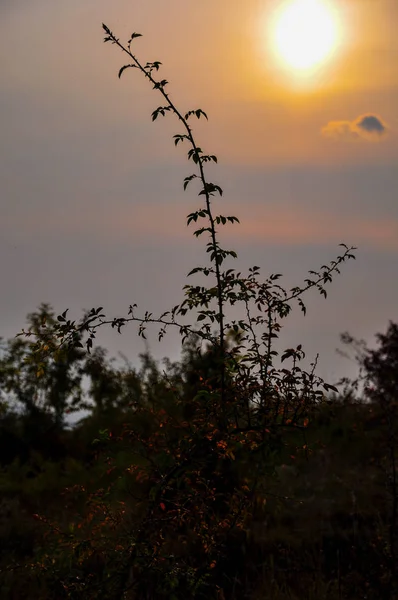 Coucher de soleil magnifique — Photo