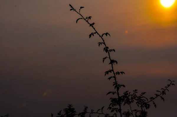 Krásný západ slunce — Stock fotografie