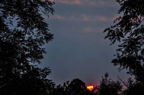 Coucher de soleil de la forêt — Photo