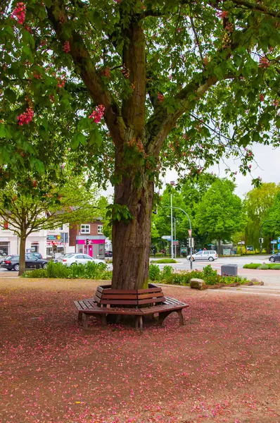 Скамейка на дереве в районе Гамбурга, сделанная 5 августа 2017 г. — стоковое фото