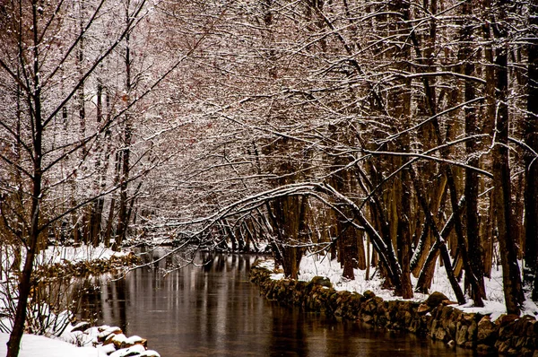 Vrelo bosne im Winter — Stockfoto