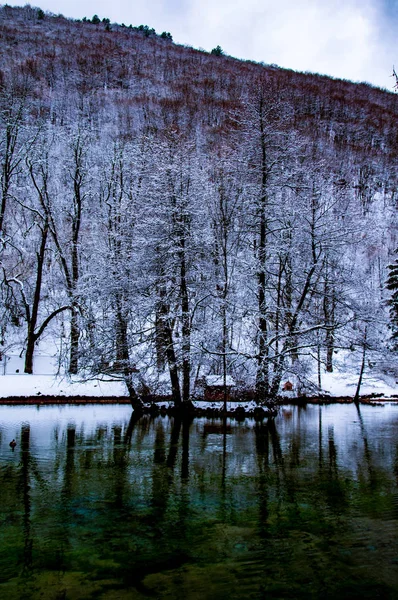 Vrelo bosne im Winter — Stockfoto