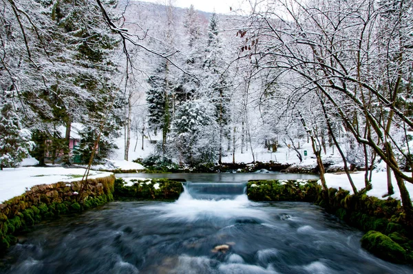 Vrelo Bosne on winter — Stock Photo, Image