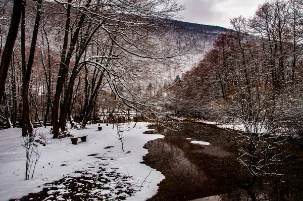 Vrelo Bosne on winter 