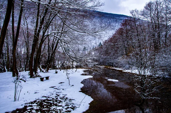 Vrelo Bosne no inverno — Fotografia de Stock