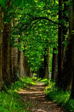 Yolun Vrelo Bosne için