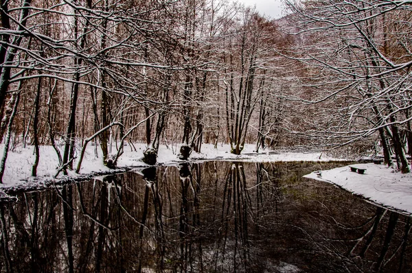 Vrelo Bosne on winter — Stock Fotó