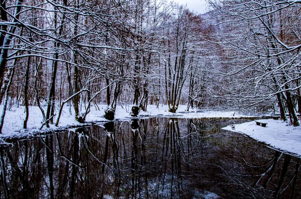 Vrelo Bosne no inverno — Fotografia de Stock