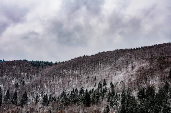 Colina cubierta de nieve — Foto de Stock